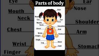 Body parts name  parts of body english dailyuseenglishspeaking learnenglishwithneha [upl. by Teresita968]