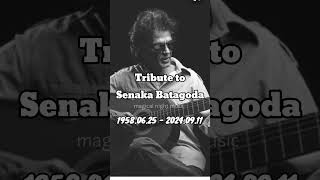 Tribute to senaka batagoda [upl. by Va]