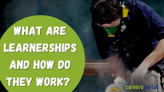 What Are Learnerships And How Do They Work  Careers Portal [upl. by Rhodes]