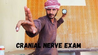 asmr cranial nerve exam [upl. by Hamforrd]