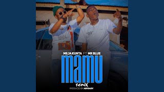 Mamu Remix [upl. by Anavrin97]