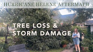 Hurricane Aftermath  Tree Loss amp Storm Damage in Your Garden [upl. by Eivla]