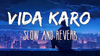 Vida Karo Lofi Song  Slow and Reverb  vidakaro lofi lofimusic lofisong hindilovesong [upl. by Sadie160]