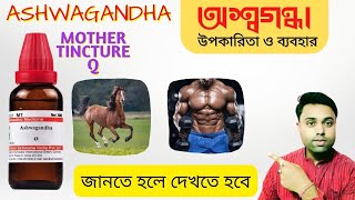 Best Medicine For overall Health ।। Withania Somnifera ।। Ashwagandha Mother Tincture Bangla [upl. by Godard]