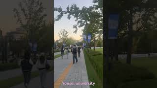 Yonsei university [upl. by Sheff250]