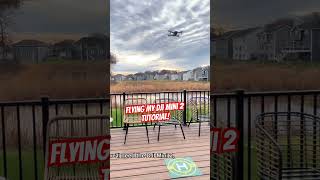 DJI Mini 2 Flying Tutorial shortvideo tiktok drone fun dad fypyoutube sky nature [upl. by Norek723]