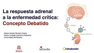 Respuesta Adrenal UCI2 de 2 Curso Fisiología UCIP 20241016 [upl. by Lerud938]