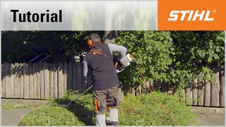 Electric longreach hedge trimmer cutting technique cutting groundcover plants [upl. by Gabrila342]