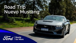 Road Trip  Nuevo Mustang [upl. by Einna]