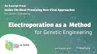 Electroporation as a Method for Genetic Modification [upl. by Geddes800]