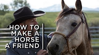 How to make a horse a friend One cowboys partnership with horses [upl. by Novit]