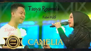 LIVE BANJIR SAWERAN  CAMELIA  TASYA ROSMALA  OM ADELLA  LIVE DI HJS PAMEKASAN MADURA [upl. by Ellswerth]