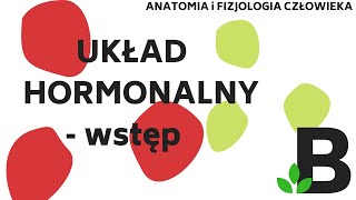 UKŁAD HORMONALNY wstęp  Anatomia i fizjologia człowieka  KOREPETYCJE z BIOLOGII  300 [upl. by Inalaeham]