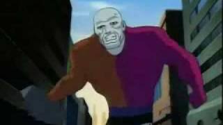 Metamorpho Cameos on Justice League Unlimited [upl. by Haisi]