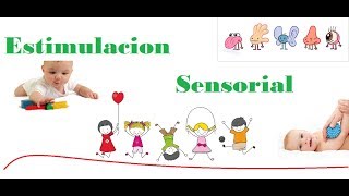 Estimulacion sensorial en niños teoría [upl. by Camille]