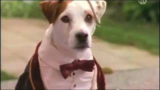 Wishbone PBS Kids  Bark to the Future Full episode  The Time Machine [upl. by Quincey]