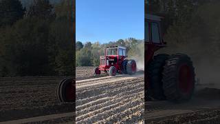 farmall51 Getting it Done in a IH 1486 tractor muscle antique [upl. by Chlo]