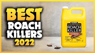 Top 5 Best Roach Killers You can Buy Right Now 2023 [upl. by Yasdnyl]