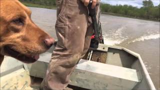 GoDevil vs Beaver Dam Mud Runner Longtail 65HP [upl. by Judson810]