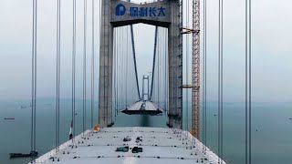 Lingdingyang Bridge of Shenzhen–Zhongshan Bridge [upl. by Spatola]