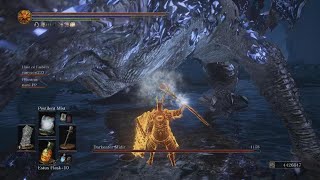 DS3 Midir vs Pestilent Mist  Coop [upl. by Eillom]