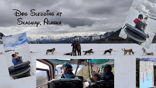 Dog Sledding on a Glacier in Skagway Alaska Dog Sledding and Glacier Flightseeing Excursion [upl. by Ana741]