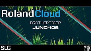 Roland Cloud  JUNO 106  Brothertiger presets [upl. by Arramas7]