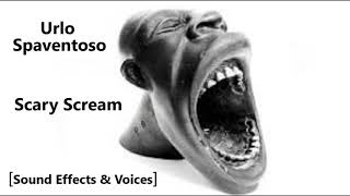 Urlo Spaventoso 😱 Scary Scream 😱 Sound Effects amp Voices 😱 [upl. by Ehtylb]