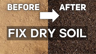 The Ultimate Guide to Bringing Life Back to Dry Soil [upl. by Kozloski]