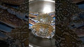 நண்டு pepper masala for this winter season crabmasalaintamil recipe tamilshorts dubaitamilvlogs [upl. by Rogovy58]