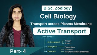 Cell Biology  Transport across Plasma Membrane  Active Transport  Zoology  B Sc  MSc [upl. by Ardnuhsor]