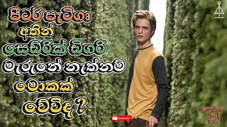 Goblet of Fire එකේදි Cedric Diggory මැරුනේ නැත්නම්  What IF Cedric Diggory Didnt DIE [upl. by Ahsir51]