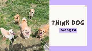 띵독Think Dog 24년 5월 소식 둘 [upl. by Koralle]