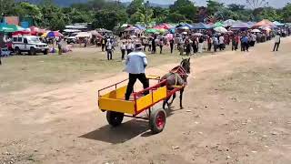 Carreras de carretones en Jalapa 2024 Ns Nicaragua [upl. by Ekaj367]