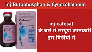 Inj catosal  Butaphosphan amp cynocobalamin uses in hindi in veterinary [upl. by Sellihca525]