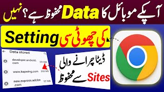 Delete all Data in Chrome Site Setting  Google Chrome Hidden Settings  Tech Shaheen [upl. by Aneerol]