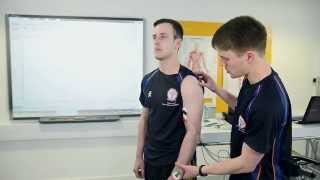 Electromyography EMG in Sport and Exercise Science [upl. by Ardiedak]