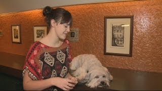 INTERVIEW Ashleigh and Pudsey ahead of the Royal Variety Performance in London [upl. by Arlen]