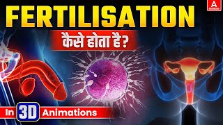 Fertilization कैसे होता है  3D Animation  Fertilization in Humans Full Process Explained [upl. by Schilling]