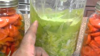 Making fermented lactose vegetables and sauerkraut [upl. by Oilla]