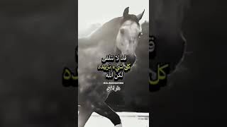 لا اله الا الله سبحانك اني كنت من الظالمين [upl. by Fredrick]