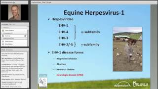 Lessons Learned from Recent Equine Herpesvirus1 Outbreaks [upl. by Yeleek486]