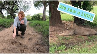 Selous Game Reserve Tanzania Nyerere National Park  Safari Day 3 [upl. by Akima]