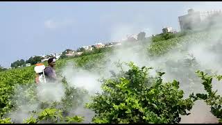 Stihl SR 450 Mist blower powder and liquid sprayer Ganesh agencies Tirupati 7013279964 [upl. by Pepper]