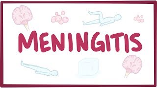 Meningitis  causes symptoms diagnosis treatment pathology [upl. by Skantze]