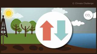 Climate Challenge questce que le cycle du carbone [upl. by Ahsiekan]