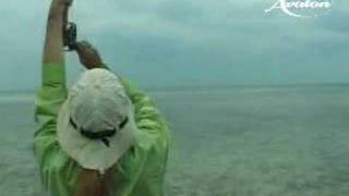 Fly fishing bonefish in cuba [upl. by Narah]