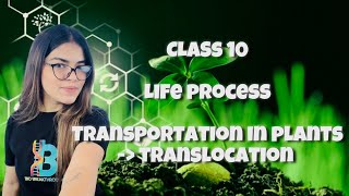 CLASS 10  LIFE PROCESS  TRANSPORTATION IN PLANTS TRANSLOCATION [upl. by Amol]