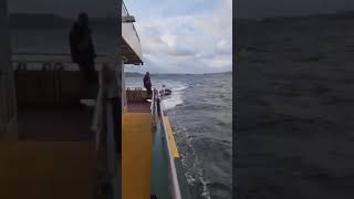 Manly Ferry tows stray boat [upl. by Bilbe]