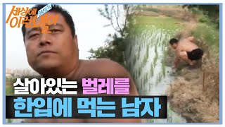 SUB ‘살아있는 벌레’를 먹는 남자 순간포착세상에이런일이 WhatonEarth SBSstory [upl. by Ahsiugal]